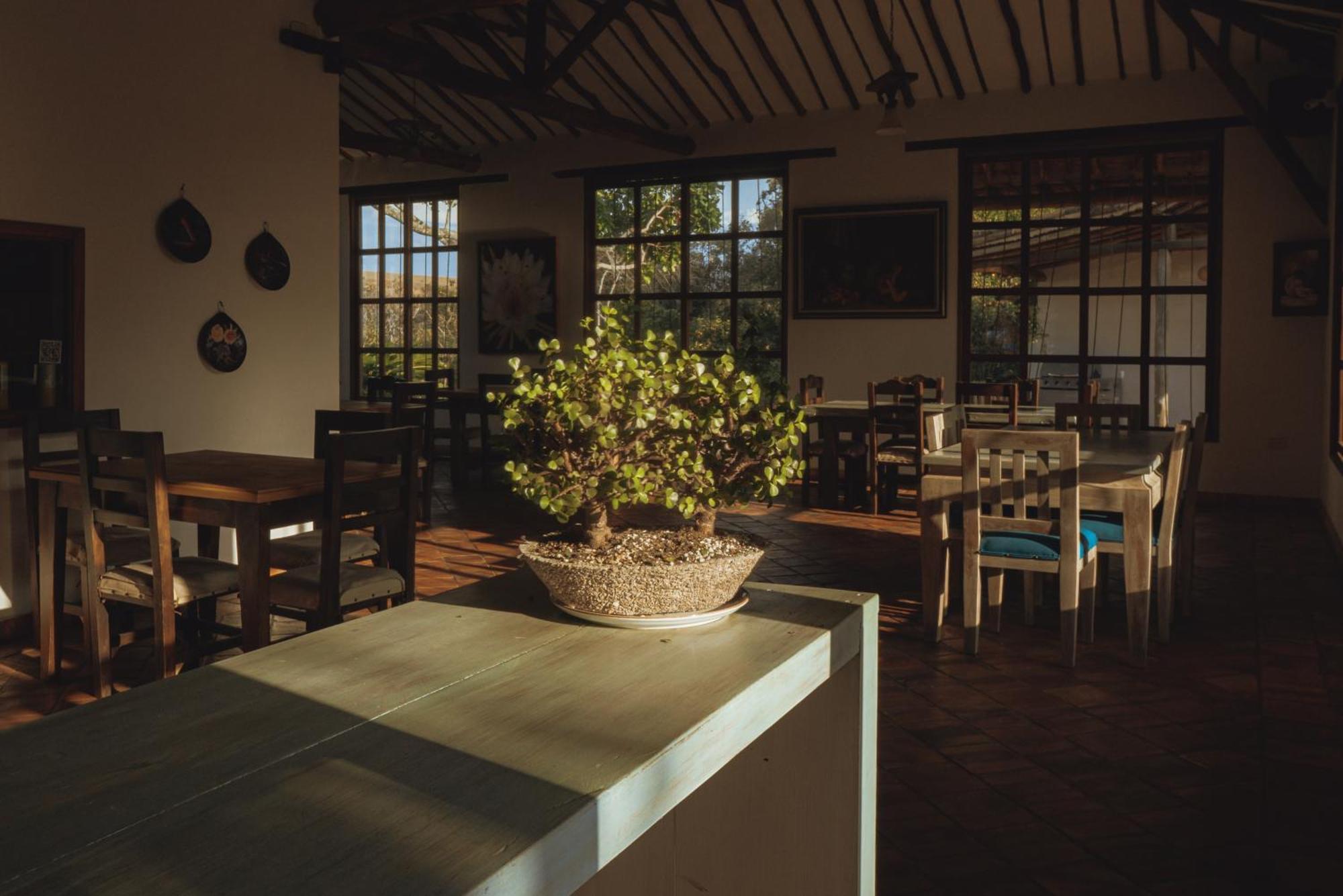 Hotel Finca Buenos Aires 巴里查拉 外观 照片